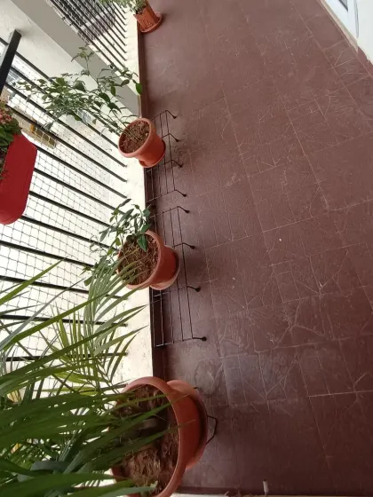 Here is another "before" shot, showing the empty floor space that I transformed with a maintenance-free artificial lawn.