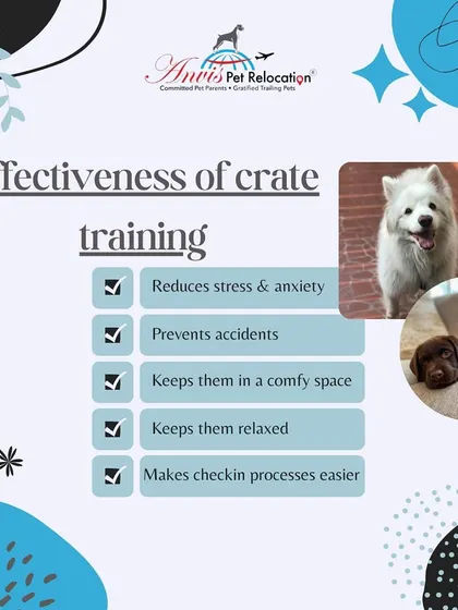 Effective crate training reduces stress, prevents accidents, and keeps your pet relaxed in a comfortable space. It also makes the airport check-in process much smoother.