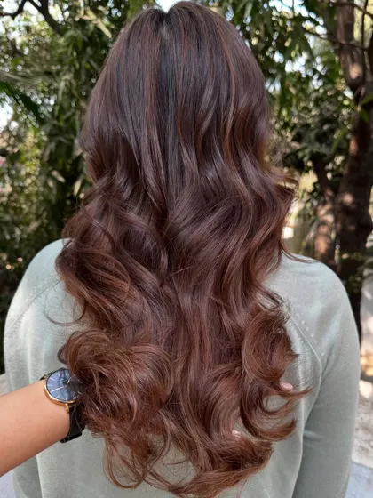 The back view of the 'Chocolate Pecan Dream' color.