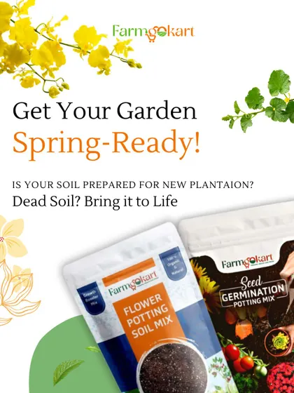 Get your garden spring-ready with my specialized soil mixes. Whether you need a flower potting mix or a seed germination mix, I have a ready-to-use solution to bring your soil to life.
