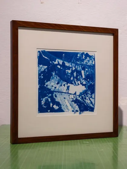 Another framed abstract botanical print from the commissioned series, showcasing the beautiful textures created with the cyanotype process.