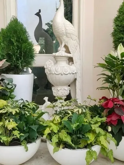 A small balcony with a beautiful peacock sculpture that also functions as a light. I created a lush arrangement of colorful plants in white pots to enhance the beauty of the sculpture.