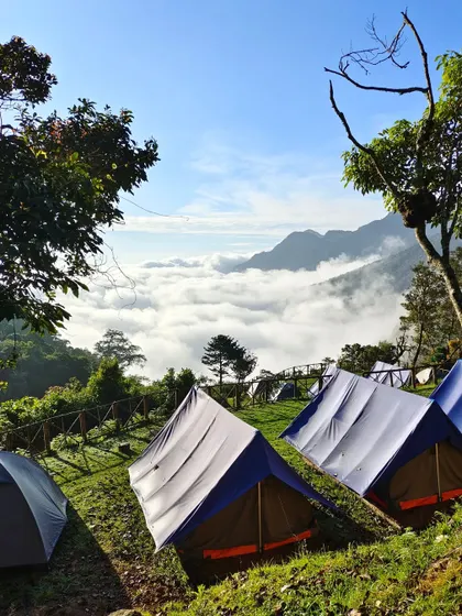 Tents pitched on the green grass, ready for a night under the stars.