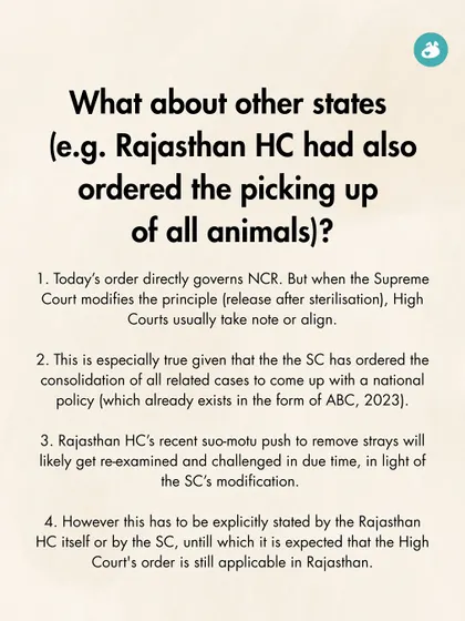 We analyzed the wider implications of the Supreme Court's order on other states. While the order directly governed NCR, it set a precedent that High Courts in other states would likely take note of, strengthening the national ABC policy.