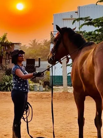 This is the moment of connection that is at the heart of everything we do. In the quiet presence of a horse, against the backdrop of a setting sun, we find a space for reflection and authentic leadership to emerge.