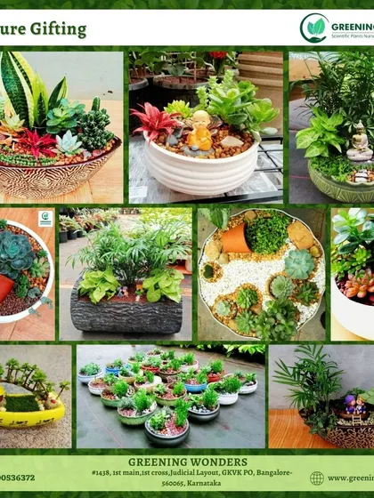A collage of our most popular miniature gifting arrangements, featuring a variety of succulents, small foliage plants, and creative hardscaping in designer bowls.