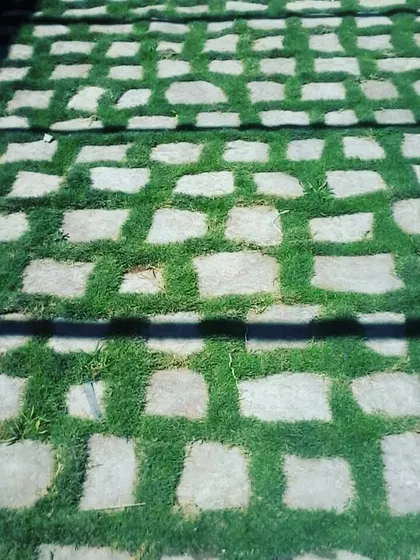 A close-up of a grass and stone paver grid. This style allows for rainwater drainage while providing a solid surface for foot traffic.