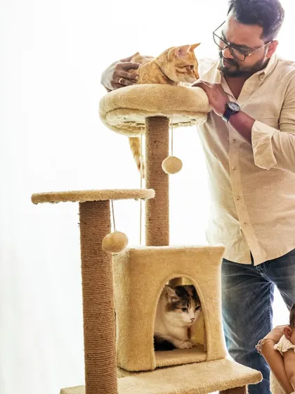 A tender moment between a cat dad and his two feline friends. Even in a chaotic session, we can find these quiet moments of connection.
