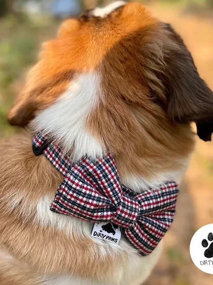 Our Plaid Checks Bow is a must-have for the winter season. It's detachable and adds a festive, dapper touch to any collar.