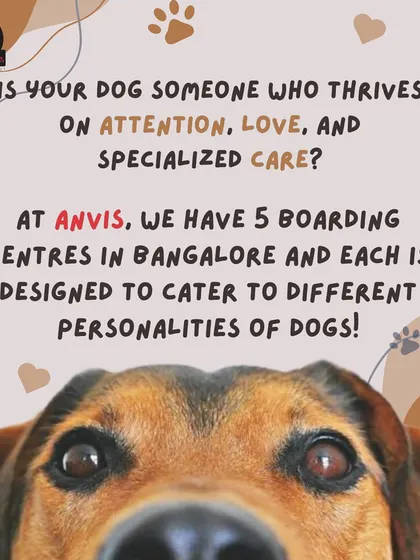 Does your dog thrive on attention and specialized care? With 5 unique boarding centers in Bangalore, we have the perfect environment to match your dog's personality.