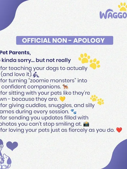 This "Official Non-Apology" is the heart of my philosophy. I'm not sorry for loving your pets as if they were my own, for giving them cuddles, or for sending you cute photos. That's what compassionate care is all about.