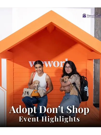We are passionate about building a compassionate community. Our "Adopt Don't Shop" events, held in partnership with local shelters, are at the heart of our mission to help every deserving animal find a loving forever home.