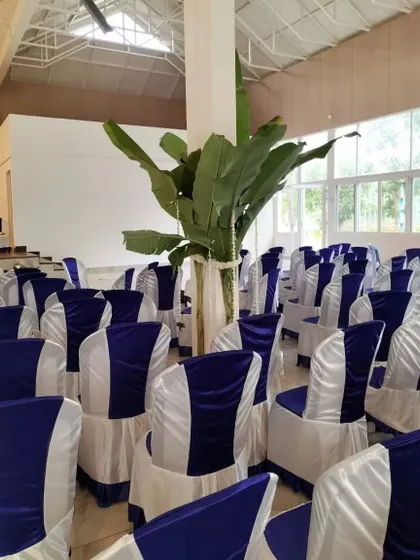 For a more traditional ceremony, we can provide simple and clean setups. Here, we used classic blue and white chair covers and a traditional banana plant decoration to align with the client's specific cultural requirements.