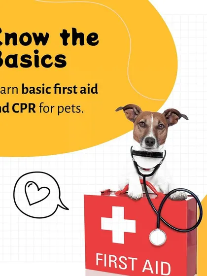 Knowing basic first aid can be lifesaving for your pet. We encourage all pet owners to learn the fundamentals of pet first aid and CPR to be able to respond effectively in a crisis.