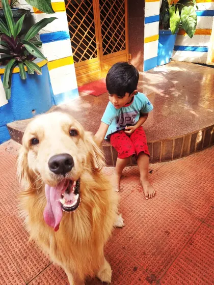 A happy boy and a happy dog. My son Duggu sits with Maxi, a handsome Golden Retriever with the biggest, happiest smile.