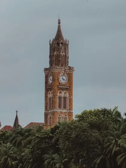The Rajabai Clock Tower, seen rising above the palm trees of Oval Maidan. A classic Bombay view.