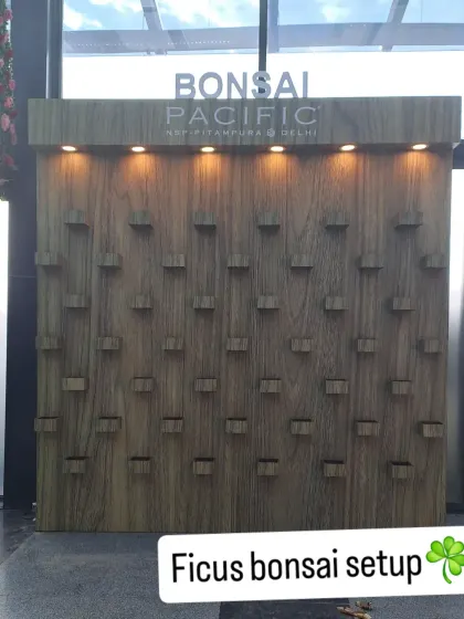 The bare structure of the bonsai wall before installation. This shows the custom framework we build to support our vertical garden and plant wall designs, ensuring a secure and professional finish.
