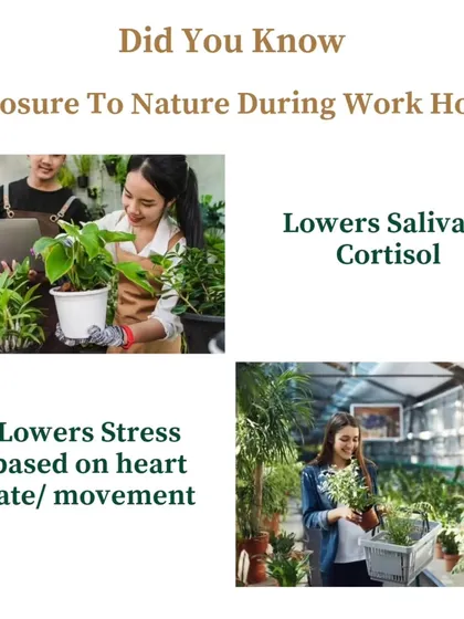 Did you know that exposure to nature during work hours can lower stress hormones like cortisol? Our workshops bring these benefits directly into your workplace, promoting a calmer and more productive atmosphere.