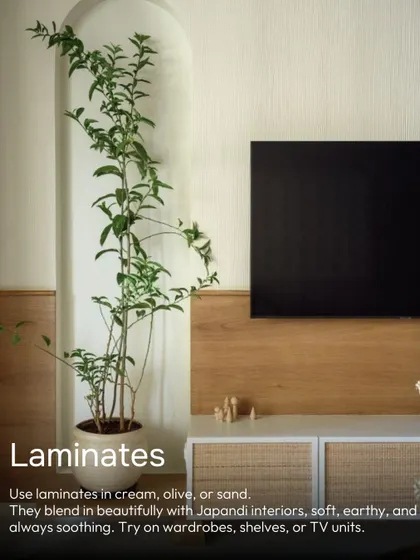 In Japandi interiors, use laminates in cream, olive, or sand. They blend beautifully with the soft, earthy, and soothing aesthetic, perfect for wardrobes, shelves, or TV units.