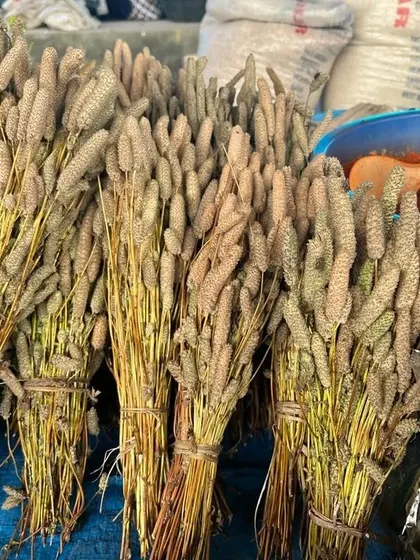 Bundles of foxtail millet for sale at a local market. We are always searching for new and exciting ingredients from Northeast India to bring back to our kitchen in Mumbai.
