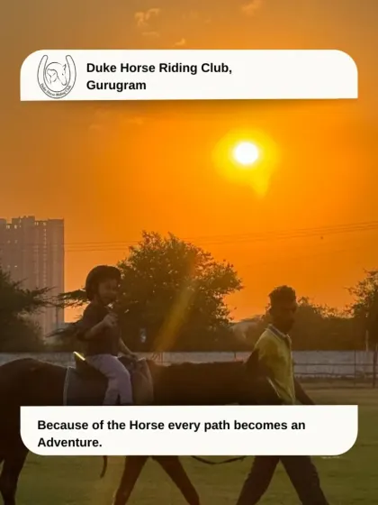 A child enjoys a sunset ride, safely led by one of our experienced handlers. Every path becomes an adventure here.