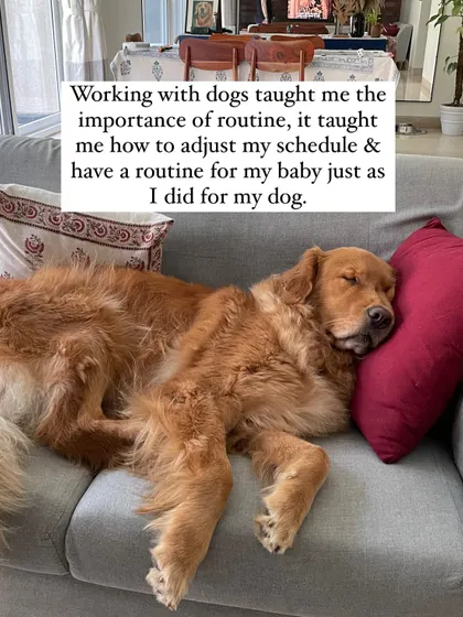 Working with dogs taught me the importance of routine. I learned to adjust my schedule for my dog, and that same principle helped me establish a healthy, predictable routine for my baby.