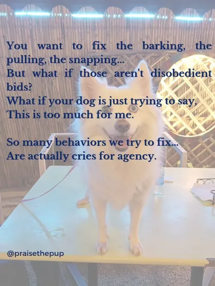 Barking, pulling, snapping. We often see these as disobedient behaviors to be fixed. But what if your dog is just trying to say, "This is too much for me?" Many of these behaviors are actually cries for agency.