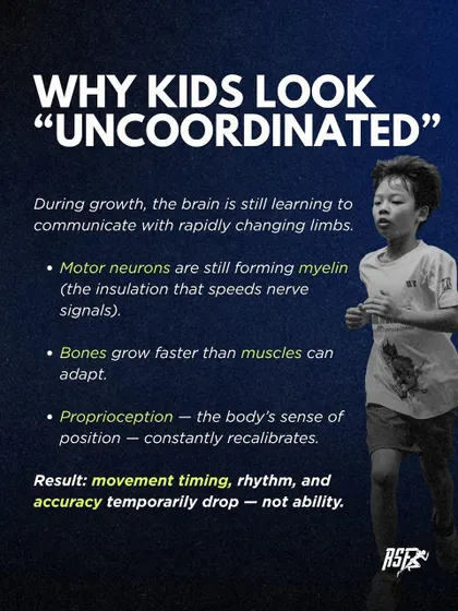 Why do kids sometimes look "uncoordinated"? This infographic breaks down the science behind it, explaining how rapid bone growth, myelin development, and proprioceptive changes during growth spurts can temporarily disrupt timing and rhythm. It's a normal phase, not a lack of ability.