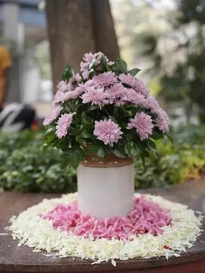 A simple yet beautiful centerpiece of pink chrysanthemums in a ceramic jar, surrounded by a ring of flower petals.