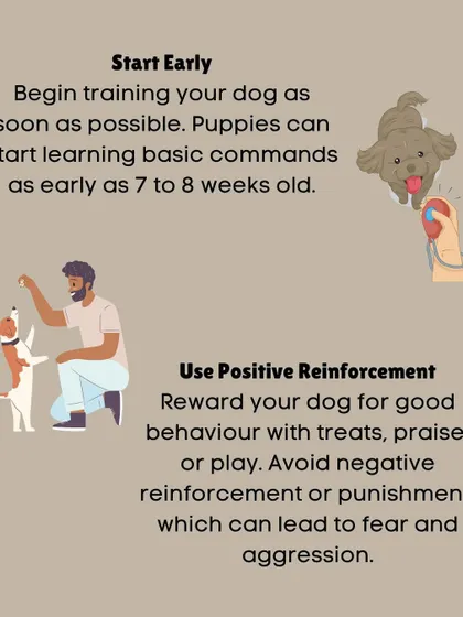 This graphic breaks down two of our core principles. We recommend starting training as early as 7 to 8 weeks old and exclusively use positive reinforcement with rewards like treats and praise, never punishment.