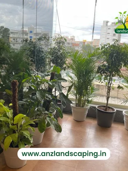 A selection of indoor plants arranged by a large glass window, perfect for bringing greenery and life to an office or apartment space.