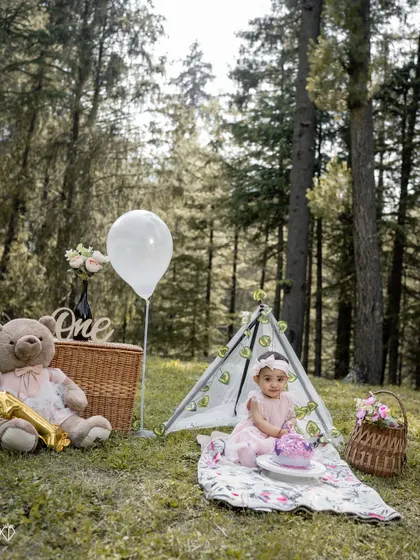 Another perspective of the birthday setup, showing the scale of the forest setting. These wider shots help tell the story of a magical birthday adventure in nature.
