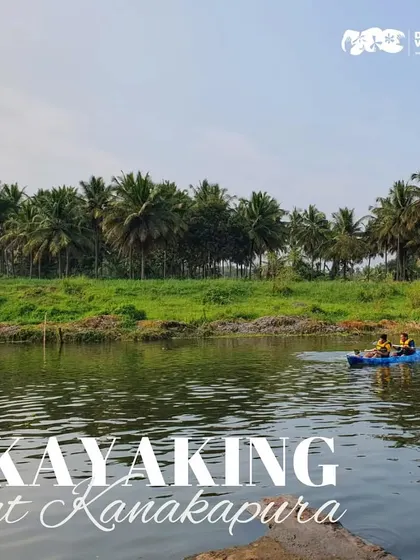 The view from the riverbank as guests enjoy a kayaking session. The coconut palms and green fields create a perfect backdrop for a day on the water.