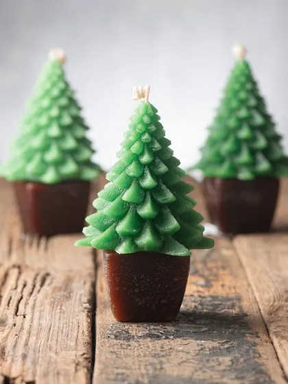 A trio of my classic green potted Christmas tree candles. They look great grouped together or gifted individually.
