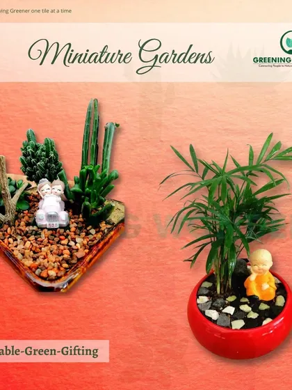 Two charming miniature gardens, one with cacti and the other with a palm, each featuring small figurines that add a touch of whimsy.