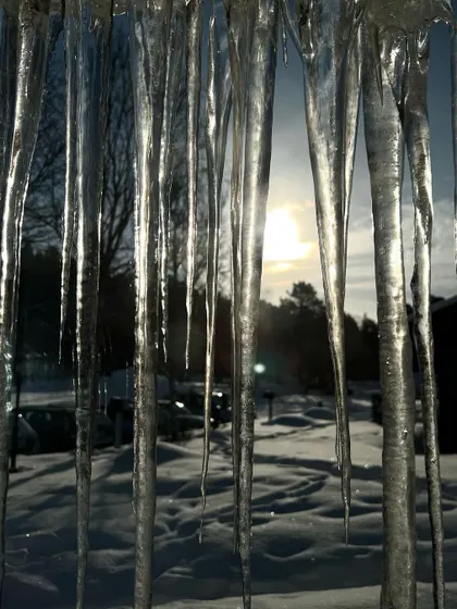 Icicles frame a winter sunset, capturing the cold, beautiful essence of an Arctic winter expedition. It’s not just about animals, but also about capturing the unique mood and landscape of the polar regions.