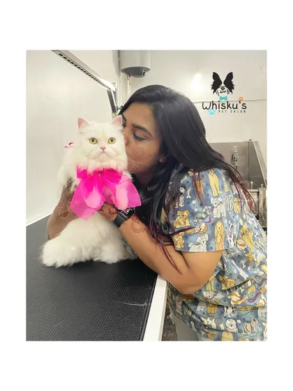 A kiss for Sasha, a beautiful white Persian. She's all dolled up with a pink bow after her spa day.