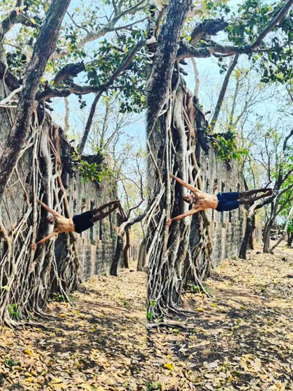 The Human Flag pose against the backdrop of banyan tree roots. This feat of strength is as much about connecting with the stable, powerful energy of the tree as it is about physical conditioning.