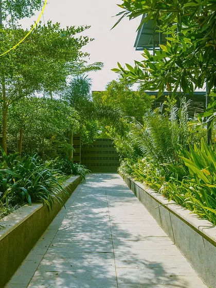 A look down one of our green pathways. I've filled the space with lush plants to create a true garden experience in the city.