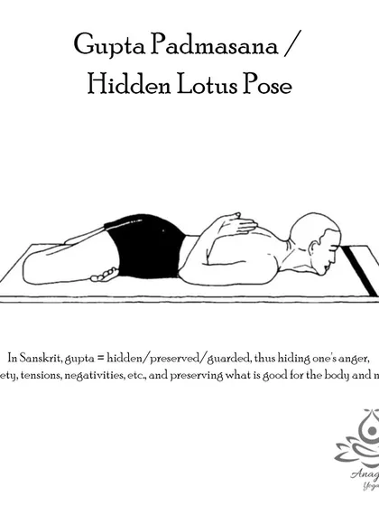 Gupta Padmasana (Hidden Lotus Pose) is a prone variation of Lotus Pose that encourages the functioning of the thyroid and stimulates the reproductive organs.