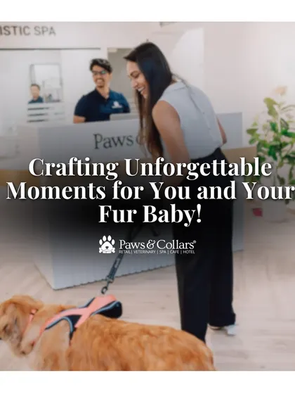 We are committed to crafting unforgettable moments for you and your fur baby. This image of a happy client entering our facility with her dog captures the welcoming and professional experience we strive to provide every day.