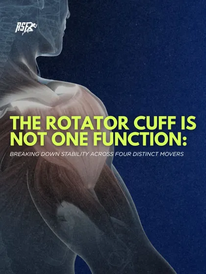 My approach to shoulder health involves breaking down the function of each of the four distinct rotator cuff muscles to ensure stability and coordinated movement.