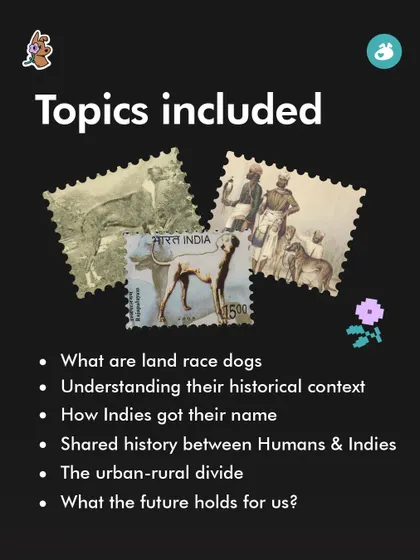 While many know the history of foreign breeds, the story of our own Indie dogs is often overlooked. This class with expert Raj Mariwala delves into the 4,000-year shared history of humans and Indies in India.