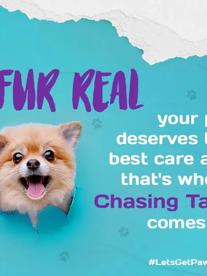 Fur real, your pet deserves the best. This is the simple idea my store is built on, providing everything you need to give your companion the best care possible.