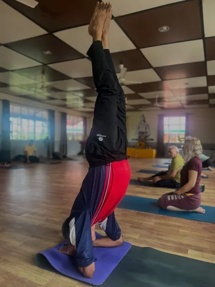 A teacher demonstrates a headstand, a core posture in the Sivananda sequence. Mastery of such asanas is a key focus in our Advanced Teachers' Training Course.