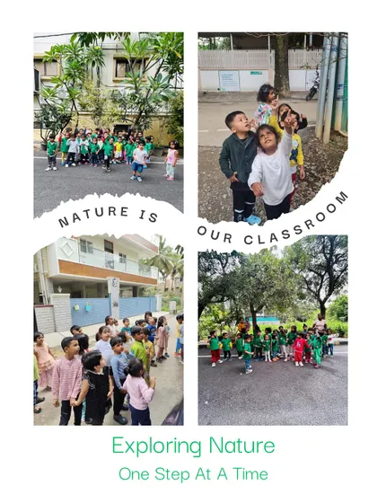 Our nature walk is a journey of the senses. Children touch tree bark, listen for birds, and look for tiny insects. We believe nature is a powerful teacher, and these walks encourage observation, mindfulness, and a connection to our environment.