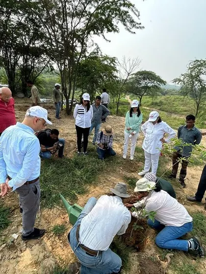 The Bry-Air team and our experts work together on a rocky slope, planting native saplings to restore the degraded Aravali Nagar Van.
