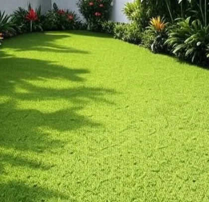 A close-up of a dense, healthy lawn surrounded by tropical foliage. This shows our expertise in selecting plants that thrive and create a lush, vibrant look.