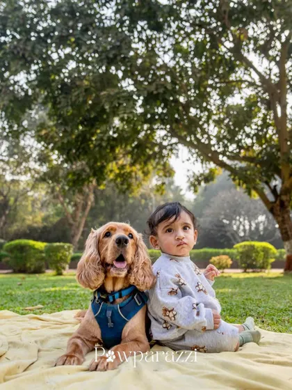 A classic portrait of a toddler and a cocker spaniel sitting side-by-side in a park, looking like two peas in a pod.