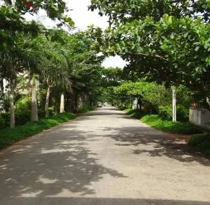 The tree-lined avenues of the LG Lake Dew community provide a serene environment. My Vastu plan for the client's plot here was designed to integrate with this natural tranquility.